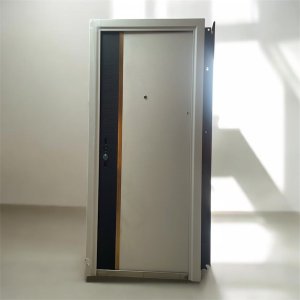 3FT WHITE AND BLACK WITH GOLDEN ALUMINIUM STEEL DOOR