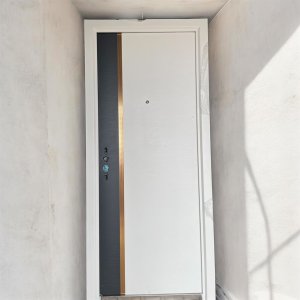 3FT WHITE AND BLACK WITH GOLDEN ALLUMINIUM STEEL DOOR